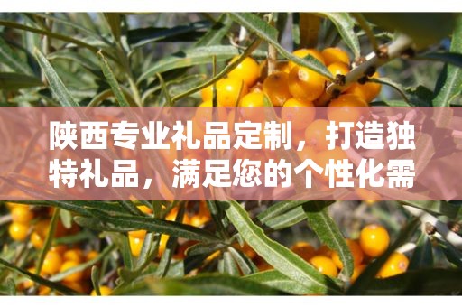 陕西专业礼品定制，打造独特礼品，满足您的个性化需求